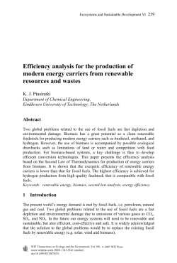 Efficiency analysis for the production of modern energy carriers from