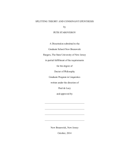 SPLITTING THEORY AND CONSONANT EPENTHESIS by PETR