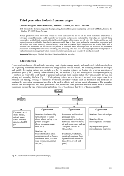Third generation biofuels from microalgae