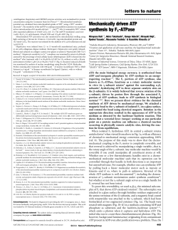 Mechanically driven ATP synthesis by F1-ATPase