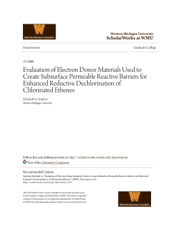 Evaluation of Electron Donor Materials Used to Create Subsurface