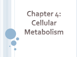 Chapter 4: Cellular Metabolism
