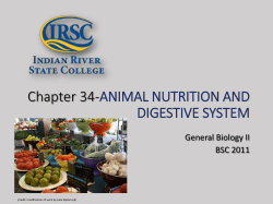 Chapter - IRSC Biology Department