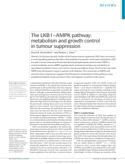 The LKB1&ndash;AMPK pathway: metabolism and growth control in tumour