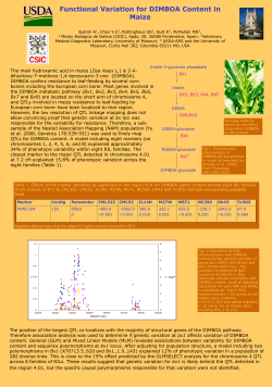 Functional Variation for DIMBOA Content in Maize Butr&oacute;n A1