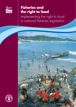 Fisheries and the Right to Food - Food and Agriculture Organization