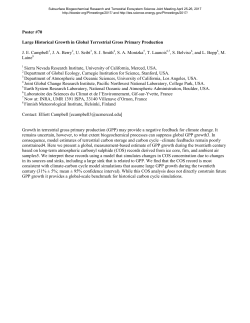 Large historical growth in global terrestrial gross primary production