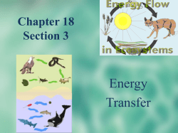 Chapter 1 Section 1