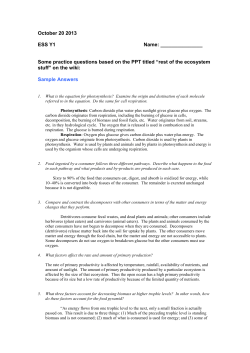 Some practice questions based on the PPT titled “rest of