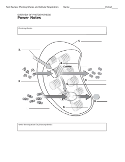 Cellular respiration