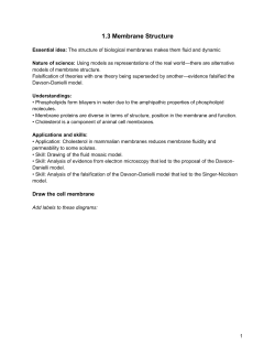 1.3 Membrane Structure notes - Mr Cartlidge`s Saigon Science Blog