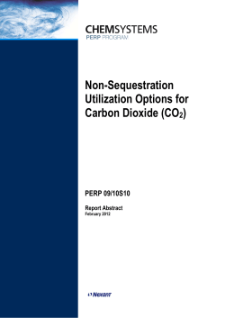Non-Sequestration Utilization Options for Carbon Dioxide (CO2)