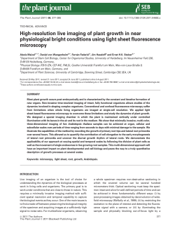 High‐resolution live imaging of plant growth in near physiological