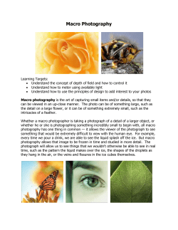 Macro Photography - Spokane Public Schools