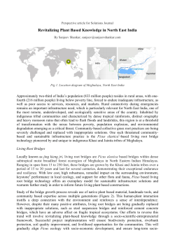 Revitalizing Plant Based Knowledge in North East India
