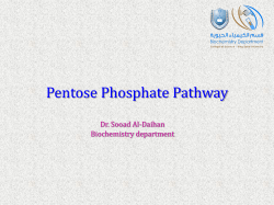 Pentose Phosphate Pathway