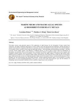 marine micro and macro algal species as biosorbents for heavy metals