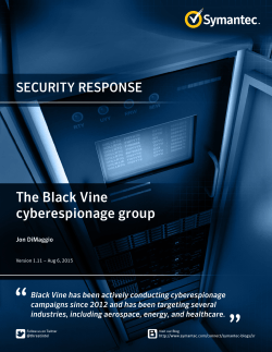 The Black Vine cyberespionage group