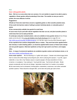 Deer Issue- eating garden plants. Note &ndash; We live in an area where