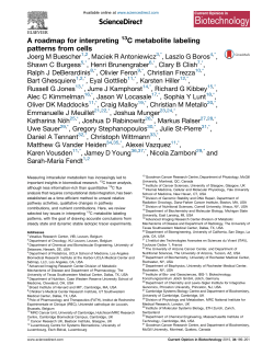 A roadmap for interpreting 13C metabolite labeling patterns from cells