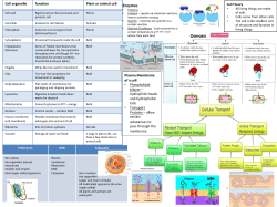 EOC Review- Unit Graphic Organizers