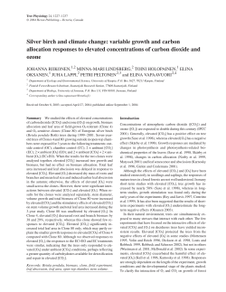 Silver birch and climate change: variable growth and carbon