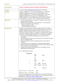 Experiment 6 Nitrate as alternative electron acceptor