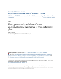 Current understanding and significance of prion uptake into plants