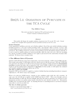 Bis2A 5.4: Oxidation of Pyruvate in the TCA Cycle