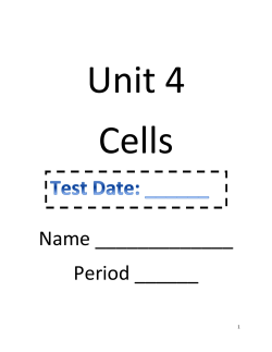 Cell City - Canyon ISD