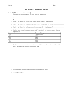 AP Biology Lab Review Packet