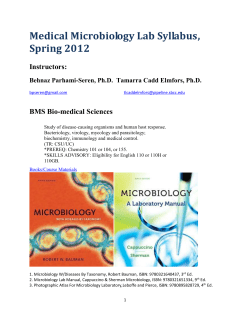 Behnaz Parhami-Seren, Ph.D. Tamarra Cadd Elmfors, Ph.D.