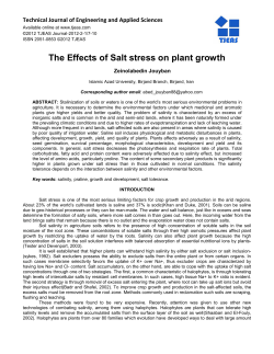 The Effects of Salt stress on plant growth