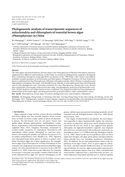 Phylogenomic analysis of transcriptomic sequences of mitochondria