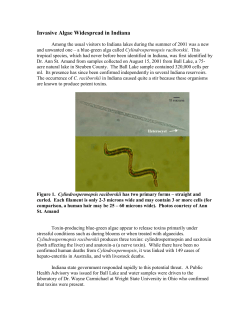Invasive Algae Widespread in Indiana
