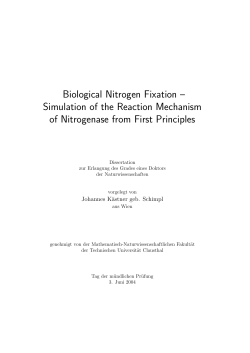 Reaction Mechanism of Nitrogenase