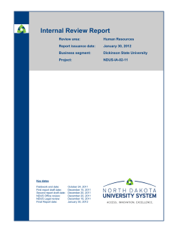 DSU Human Resources Review Internal Audit Report