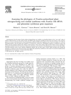 Assessing the phylogeny of Frankia-actinorhizal plant nitrogen