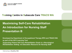 PowerPoint presentation 3 template - green PMS 576