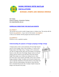 Bungee Jumps, Bridge Swings