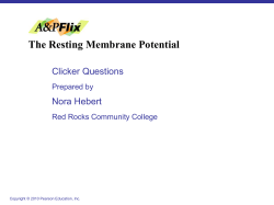 The Resting Membrane Potential