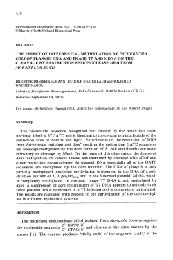 418 Biochimica et Biophysica Acta, 562 (1979) 418-