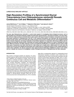 High-Resolution Profiling of a Synchronized Diurnal