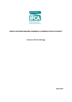Customer Service Strategy 2017 - North Eastern Inshore Fisheries