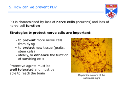 nerve cells - Doherty lab