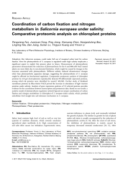 Coordination of carbon fixation and nitrogen metabolism in