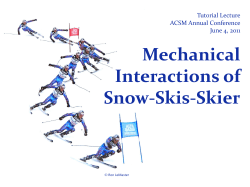 Turn Characteristics and Energy Dissipation in Slalom