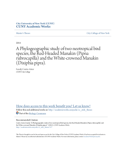 A Phylogeographic study of two neotropical bird species, the Red