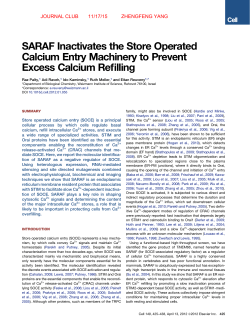 SARAF Inactivates the Store Operated Calcium Entry Machinery to