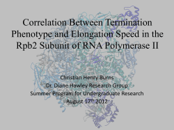 Correlation between termination phenotype and transcriptional